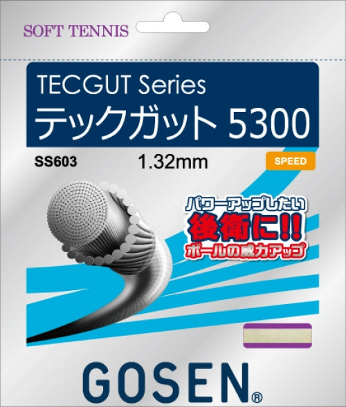 ゴーセン テックガット5300