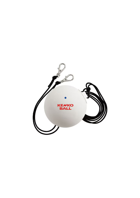 ナガセケンコー　Wボレー